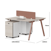Pioneer2-A Metal Frame Office Desk Workstation with Mobile Pedestal